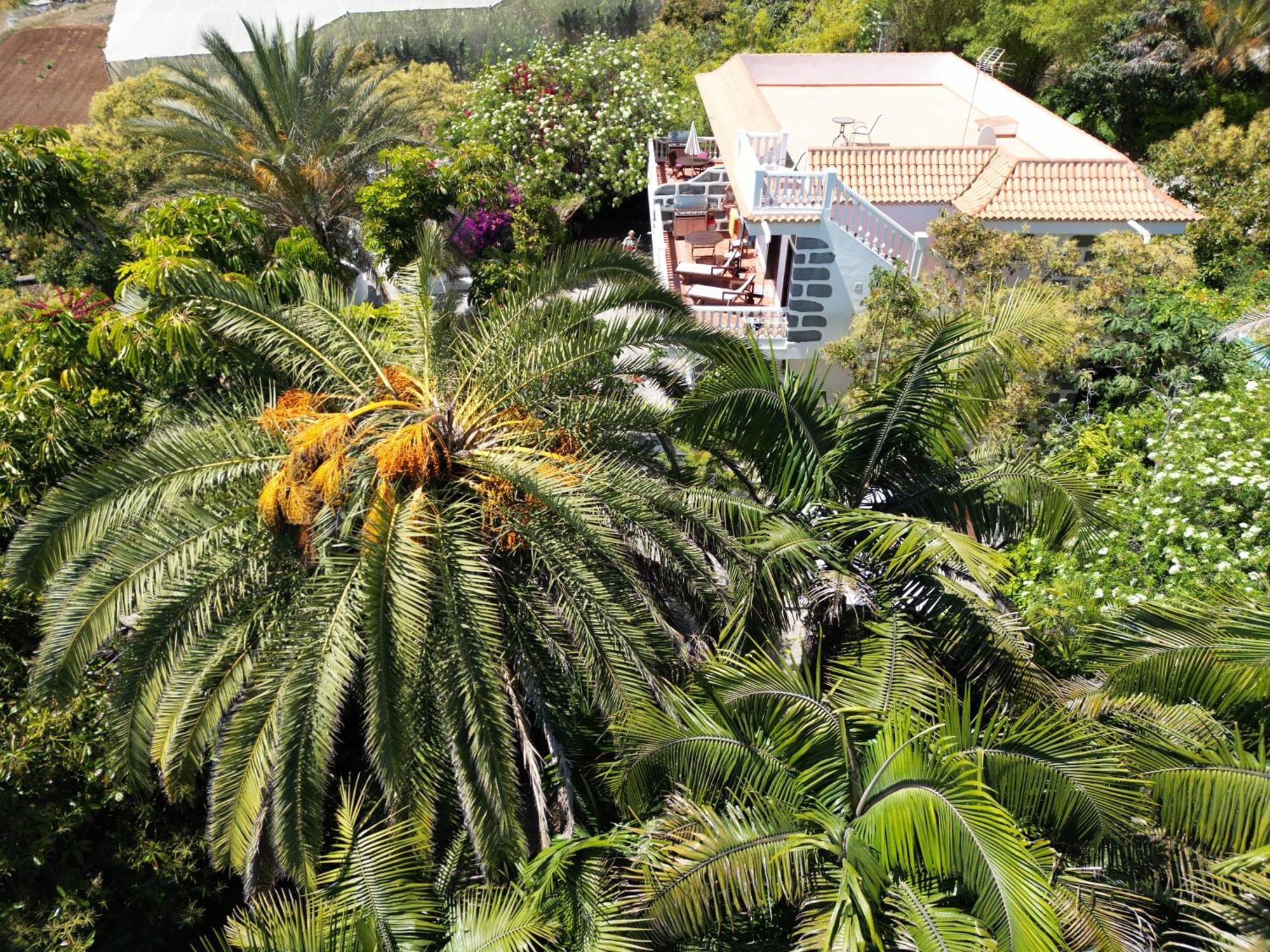 Villa Tijarafe 1 Esterno foto